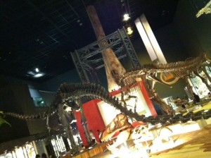 大きな館内に恐竜が！！